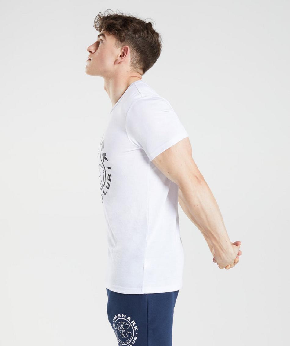 T Shirts Męskie Gymshark Legacy Białe | PL 3861QMA